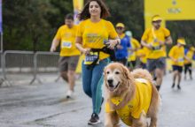 Corrida e pets: os cuidados para transformar o cachorro em companheiro de treino
