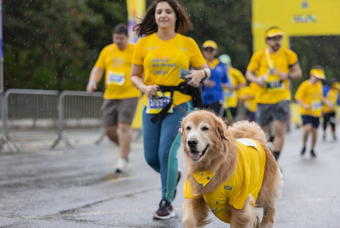 Corrida e pets: os cuidados para transformar o cachorro em companheiro de treino