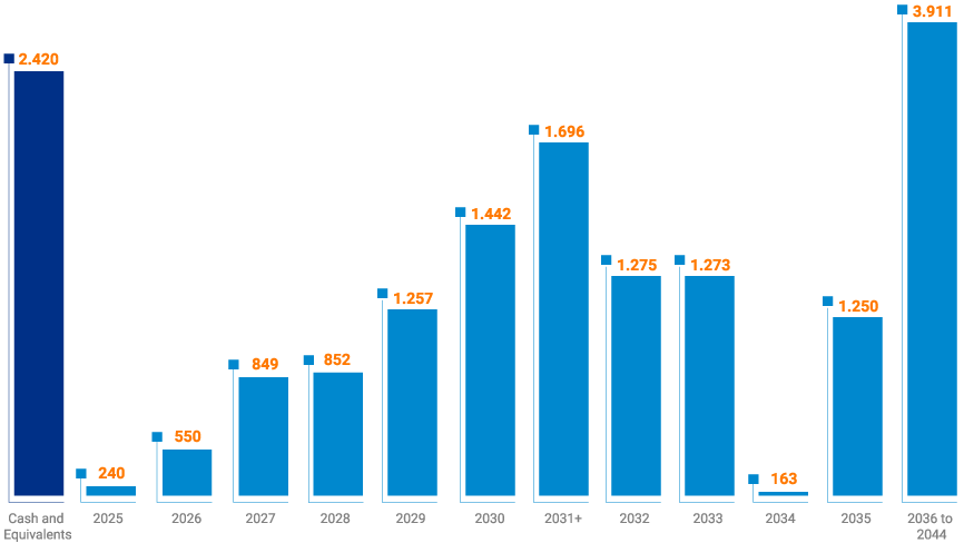 Gross Debt Amortization Schedule
(BRL million)