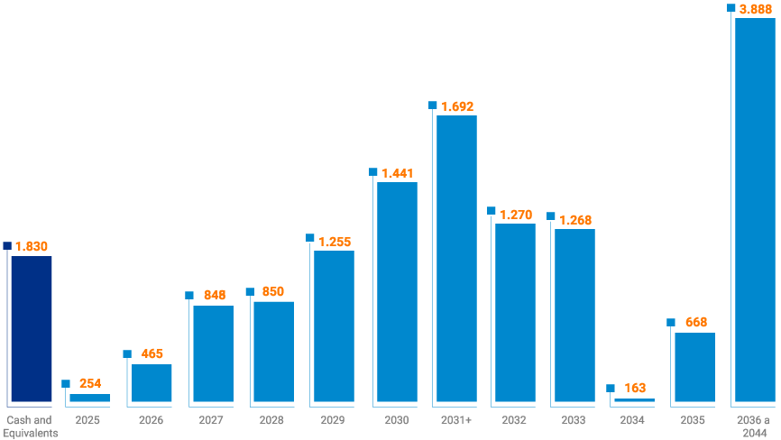 Gross Debt Amortization Schedule
(BRL million)