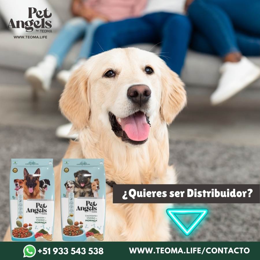 DISTRIBUIDOR DE COMIDA PARA PERROS