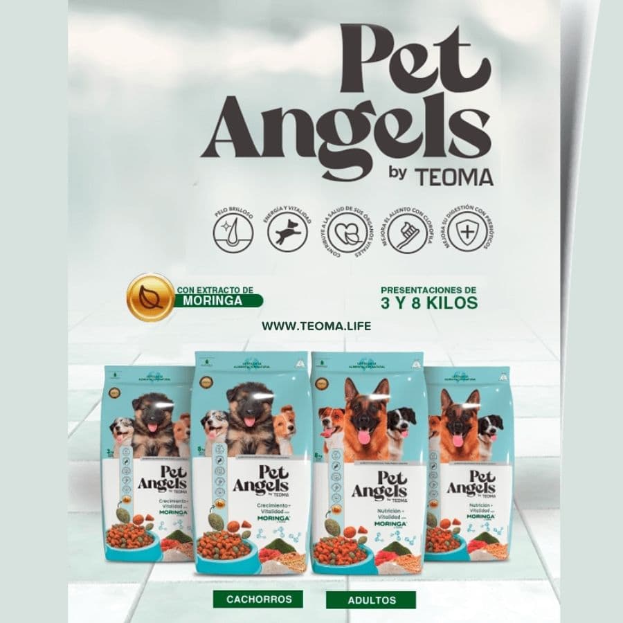PET ANGELS COMIDA PARA PERROS
