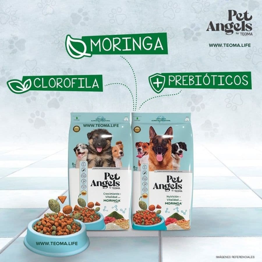 COMIDA PARA PERROS MORINGA CLOROFILA PREBIOTICOS