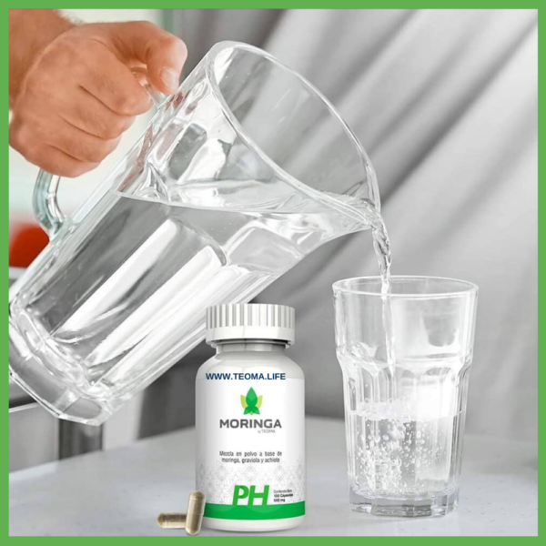 PH MORINGA Frasco de 100 cápsulas