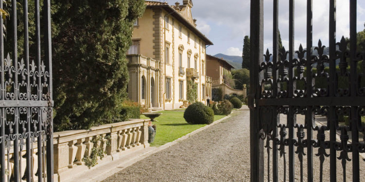 Primera cata: Sassicaia 2019 – Decanter
 / Titulares de Vinos y Bodegas