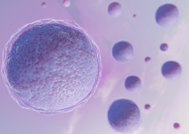 trasplante-autologo-alogenico