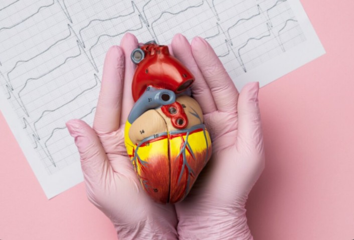 estudios-cientificos-corazon