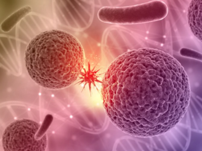 preservacion-celulas-corazon 