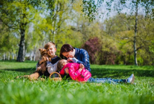 burnout-parental-chile