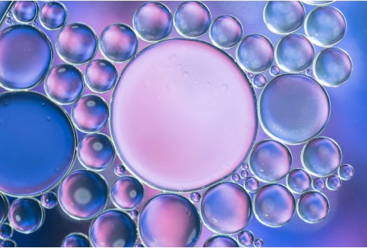 banco-celulas-madre-chile.