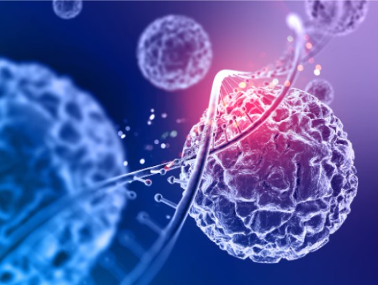 evidencia clínica células madre Chile y beneficios para la salud familiar