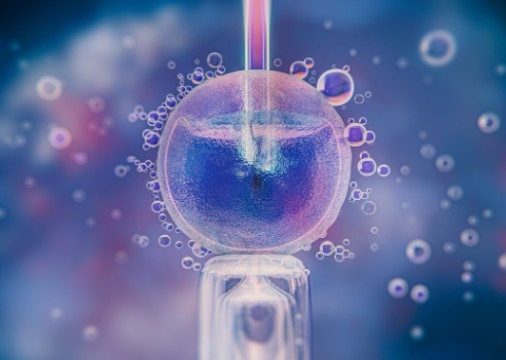 proceso de criopreservación de células madre en laboratorio VidaCel