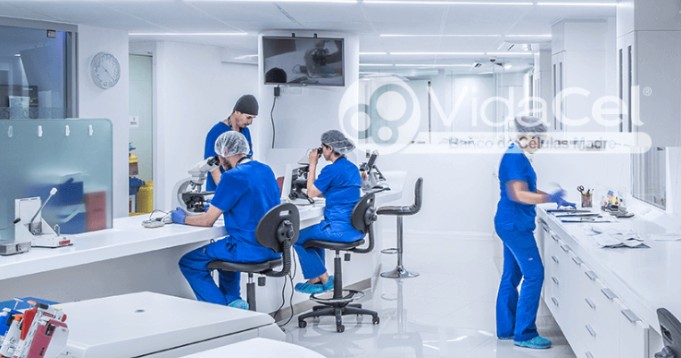 criopreservacion-vidacel-nitrogeno-liquido. Criopreservación a –196°C para futuros tratamiento células madre.