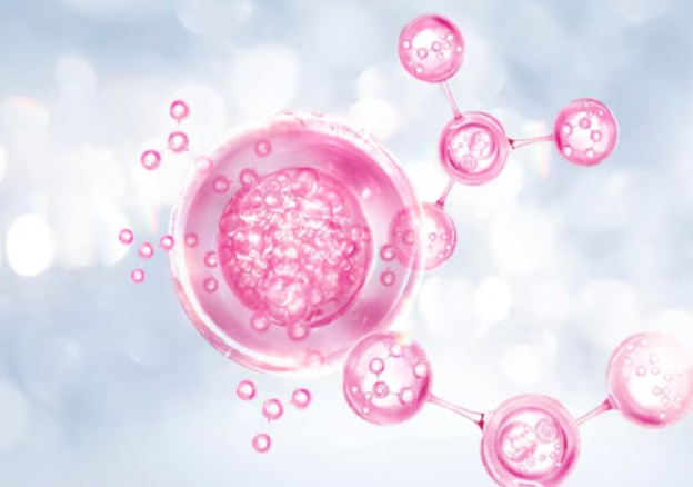 sangre-cordon-umbilical-vidacel. sangre de cordón umbilical lista para tratamiento células madre.