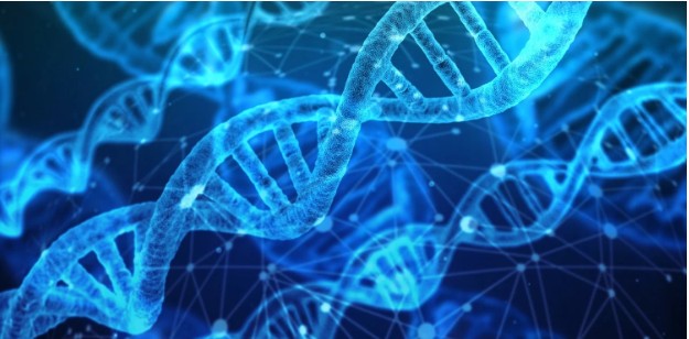 Laboratorio médico donde se estudian terapias con células madre.