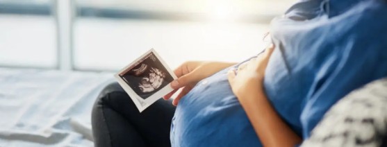 Ilustración del crecimiento fetal durante el segundo trimestre del embarazo.