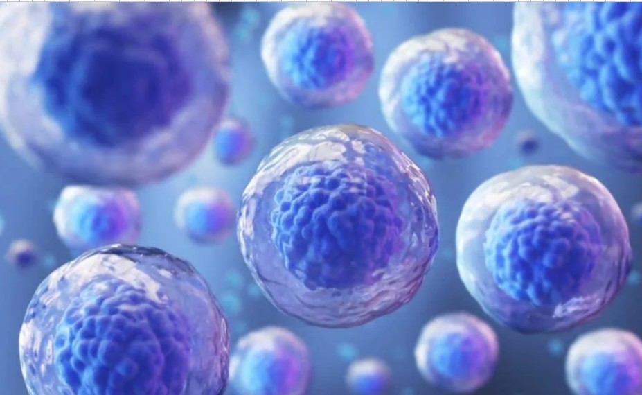 Investigación microscópica de células madre en estudios médicos y terapias regenerativas.