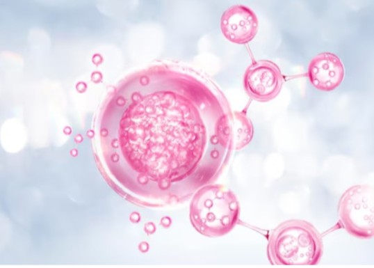 laboratorio especializado en investigación de células madre