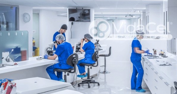 laboratorio científico investigando células madre en medicina