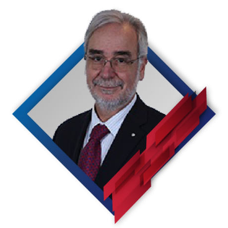 José F Saraiva José F Saraiva