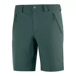 Shorts Salomon Wayfarer Lt