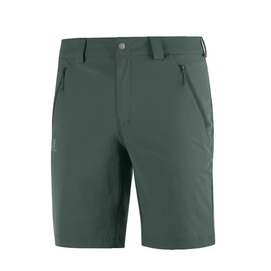 Imagen 2 de 3 de Shorts Salomon Wayfarer Lt  M-GRAFITO